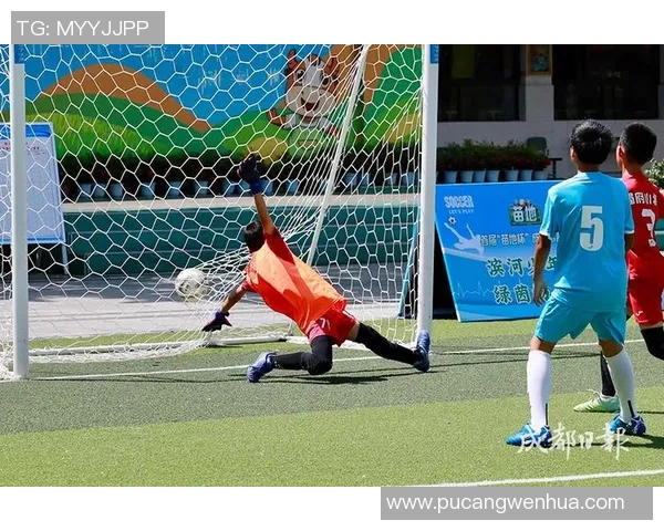 成都足球队的团队协作与战术配合深度分析与探讨