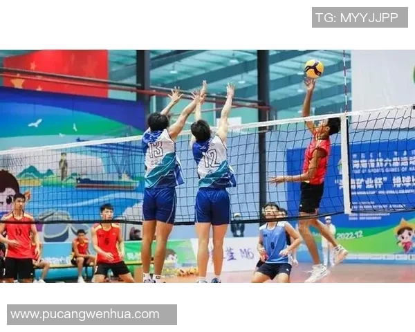 排球新手必看：轻松掌握状态与技巧的入门指南