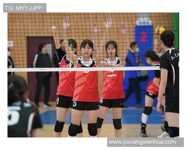 排球灵活性排行榜揭晓北京排球队荣获第五名佳绩