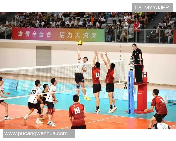 排球盛宴:深入成都排球队的默契与协作之道 排球盛宴:深入成都排球队的默契与协作之道