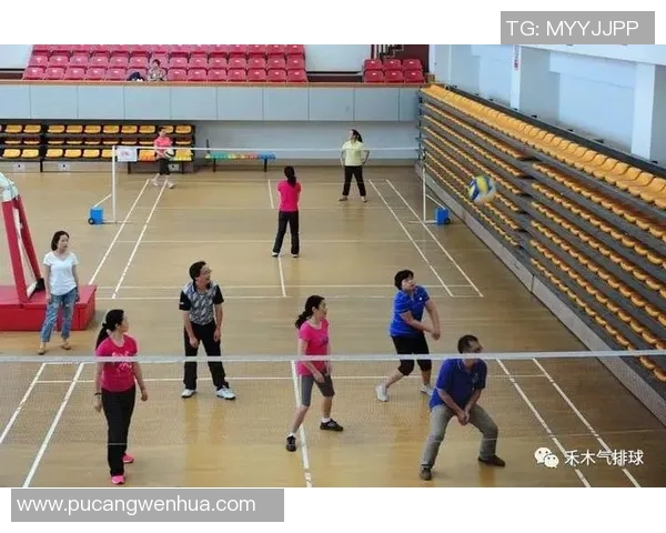 排球战术：杭州排球队的运营体系