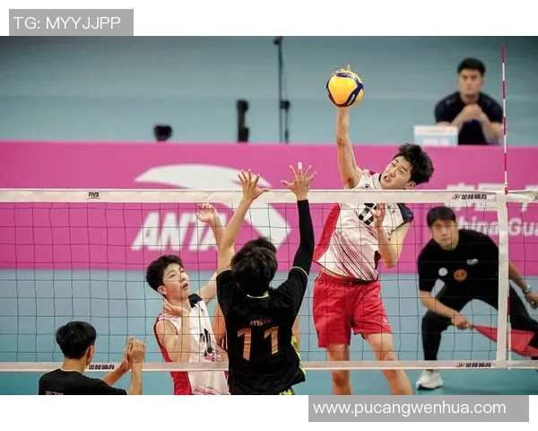 排球实力排行榜揭晓上海排球队荣获第四名展现强劲实力 排球实力排行榜揭晓上海排球队荣获第四名展现强劲实力