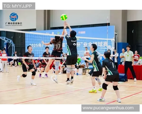 排球之巅:深入广州排球队的比赛策略与经验分享 排球之巅:深入广州排球队的比赛策略与经验分享