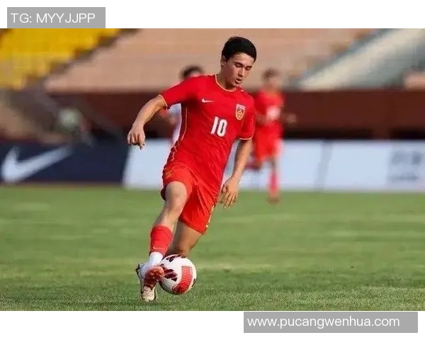 日本足球明星的成功经验对中国国家足球队的启示与借鉴 日本足球明星的成功经验对中国国家足球队的启示与借鉴