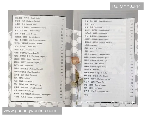 日本足球明星的传奇故事与成就解析 日本足球明星的传奇故事与成就解析