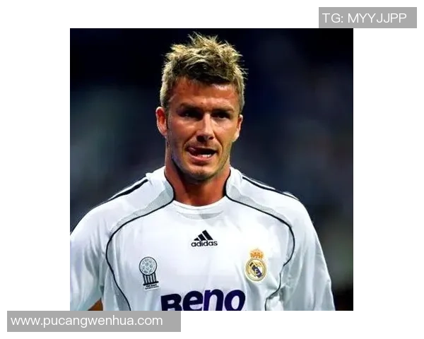 最霸气的足球明星揭晓他们的传奇故事与场上风采