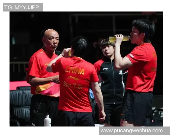 杭州乒乓球队在世界杯中的默契配合与精彩表现分析